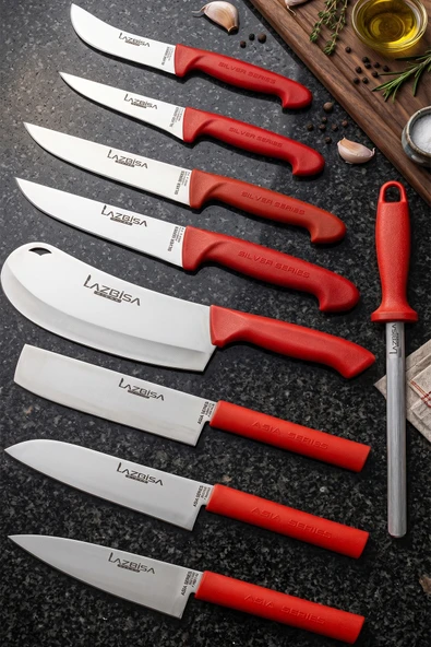 Lazbisa Silver Pro Serisi Mutfak Bıçak Seti 9 Parça Et Ekmek Sebze Salata Börek Bıçağı Masatı (MFP-408) ürün görseli 1