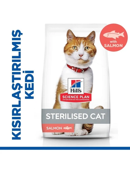 Hill's Scıence Plan Somonlu Kısırlaştırılmış Yetişkin Kedi Maması 10 kg (8+2 kg) ürün görseli 1