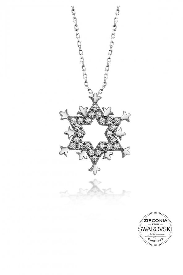 Gümüş Swarovski taşlı pırlanta modeli kartanesli kolye ürün görseli 1