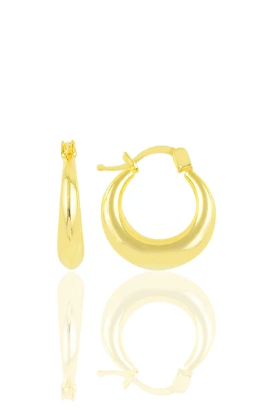 Gümüş altın yaldızlı sade gümüş şarnel küpe SGTL10705GOLD ürün görseli 1