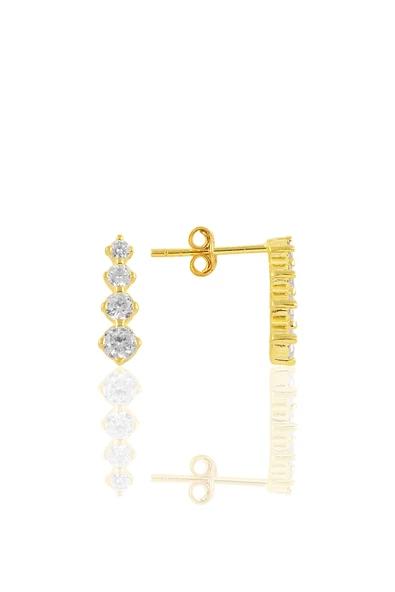 Gümüş altın yaldızlı zirkon taşlı çivili ışıltı küpe SGTL10880GOLD ürün görseli 1