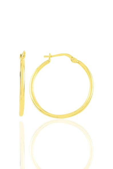 Gümüş altın yaldızlı 29 mm şarnel halka küpe SGTL10939GOLD ürün görseli 1