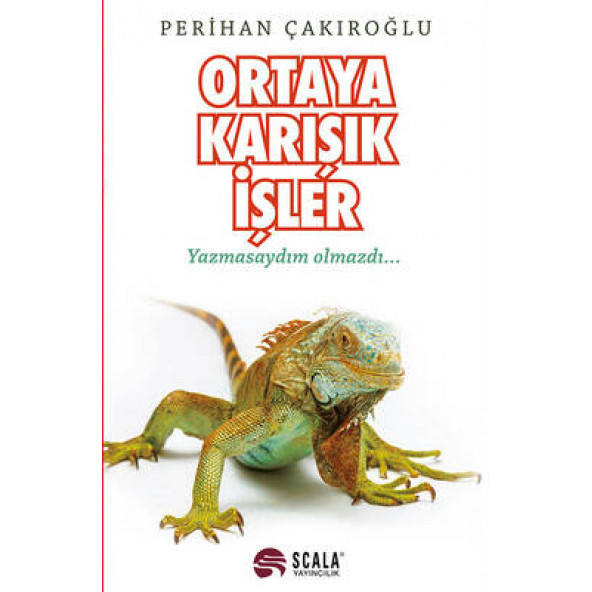 Ortaya Karışık İşler -Yazmasaydım Olmazdı... ürün görseli 1