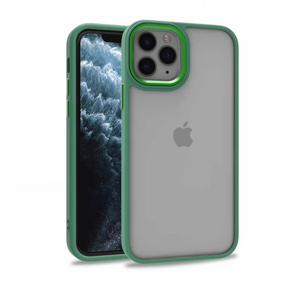 Gpack Apple iPhone 12 Pro Kılıf Flora Sert Silikon Arkası Cam Şeffaf - Resim 6