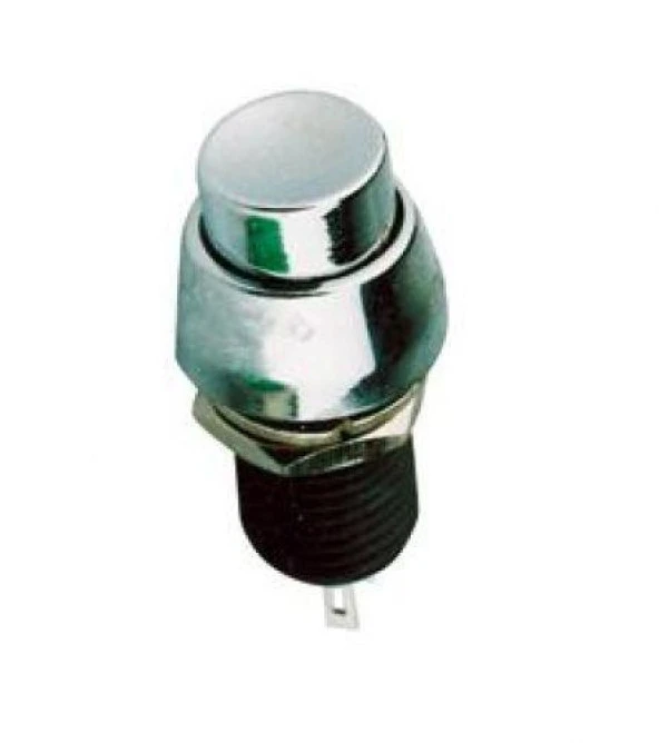 PLASTİK BUTON (METAL GÖRÜNÜMLÜ) ürün görseli 1