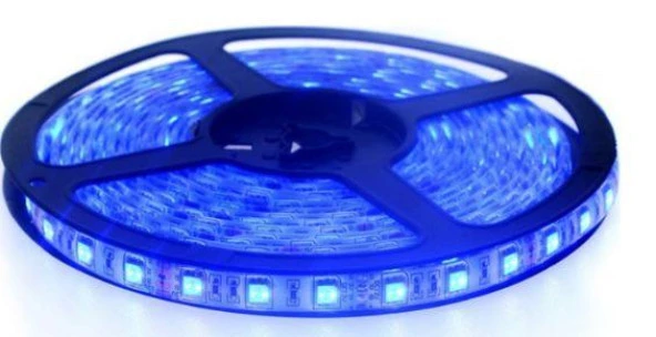 Şerit Led Mavi 60 Led 5m ürün görseli 1