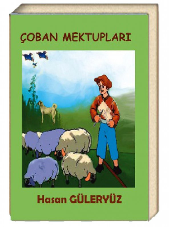 Çoban Mektupları - Hasan Güleryüz ürün görseli 1