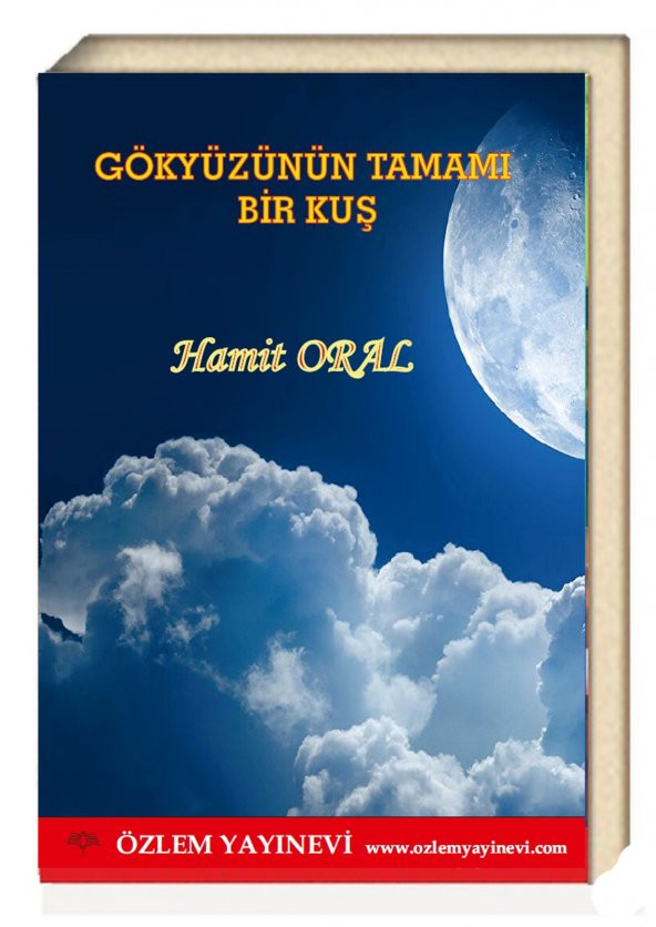Gökyüzünün Tamamı Bir Kuş ürün görseli 1
