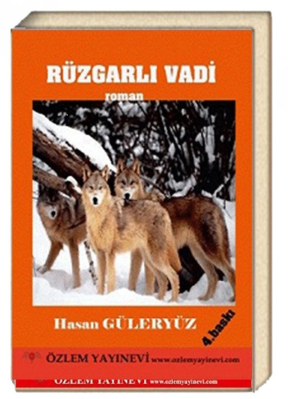 Rüzgarlı Vadi - Hasan Güleryüz ürün görseli 1