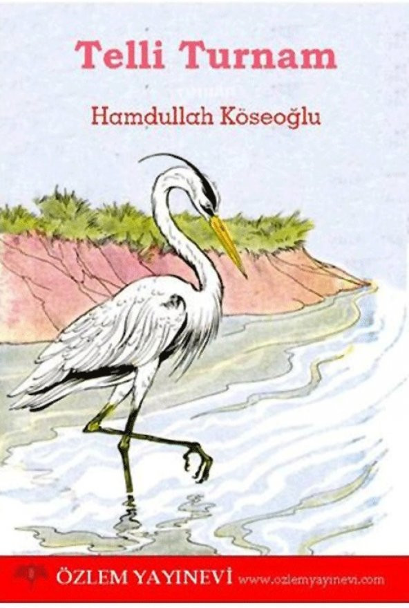 Telli Turnam - Hamdullah Köseoğlu ürün görseli 1