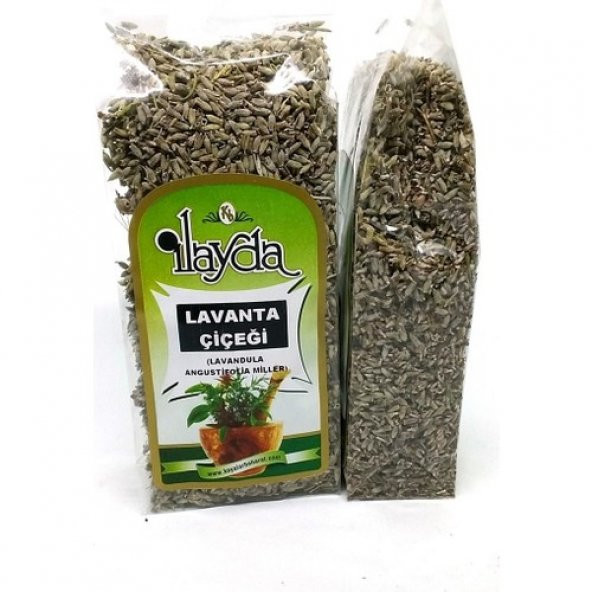 Ilayda Lavanta Çiçeği (Lavandula Angustifolia) ürün görseli 1