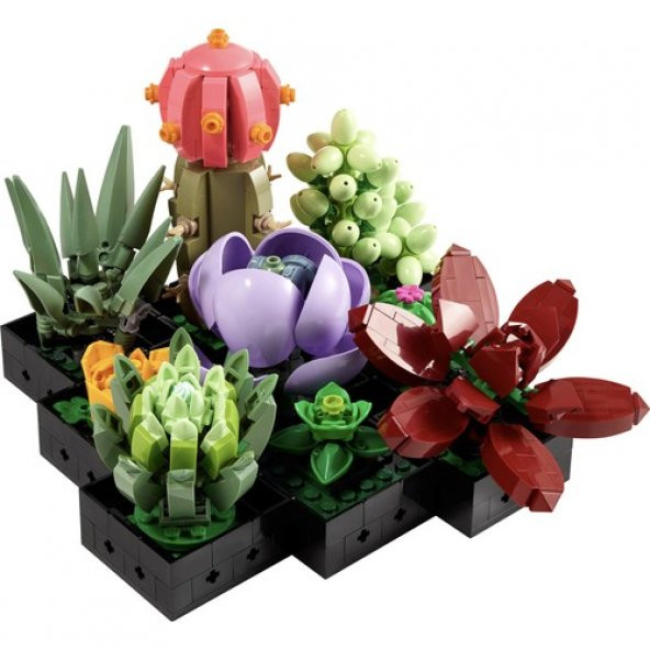 LEGO Creator Expert 10309 Succulents ürün görseli 1