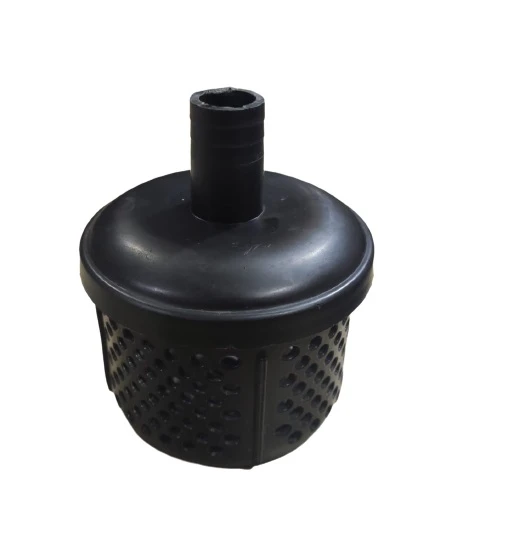 1" SU MOTORU SU EMİŞ SÜZGECİ PLASTİK Q253936 QGZ25 154540 ürün görseli 1