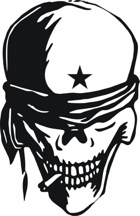 Sticker Masters Skull Sticker 1 ürün görseli 1