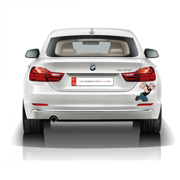 Sticker Masters Temel Reis Sticker - Resim 2