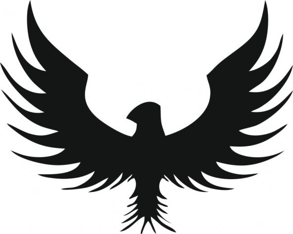 Sticker Masters Kartal Sticker ürün görseli 1