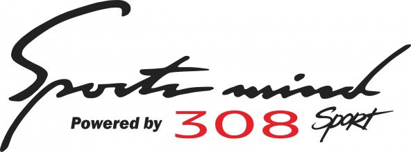 Sticker Masters Peugeot 308 Sport Mind Oto Sticker ürün görseli 1