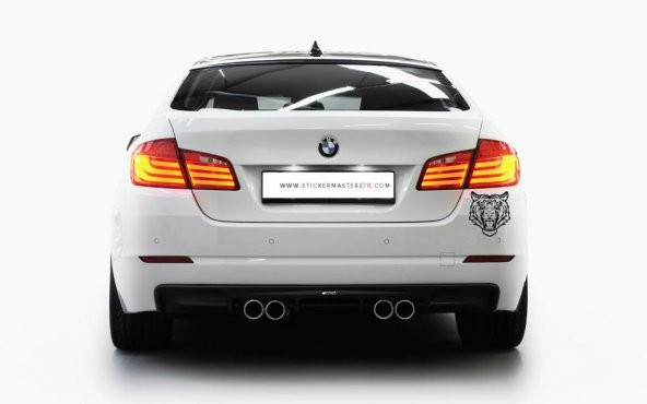 Sticker Masters Kaplan Araba Oto Sticker - Resim 2