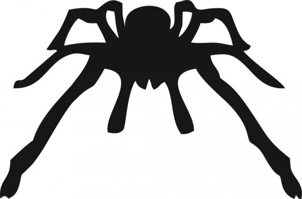 Sticker Masters Tarantula Sticker ürün görseli 1