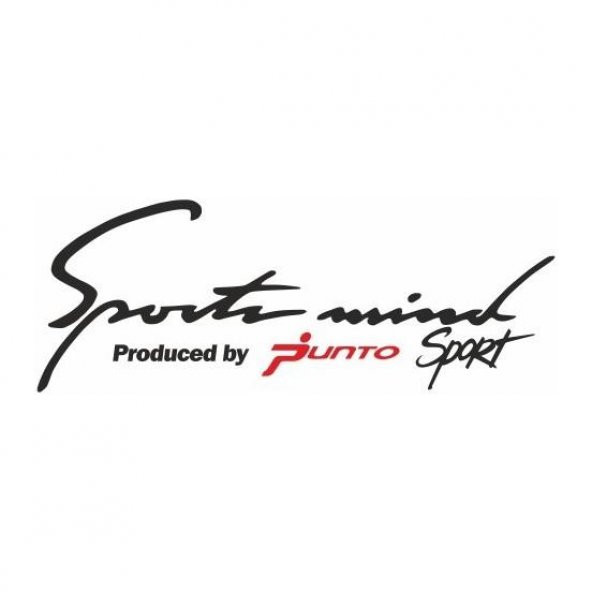 Sticker Masters Fiat Punto Sport Mind Oto Sticker ürün görseli 1