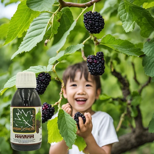Aşıkzade Karadut(horum Dutu) Şurubu 125 Ml - Resim 2