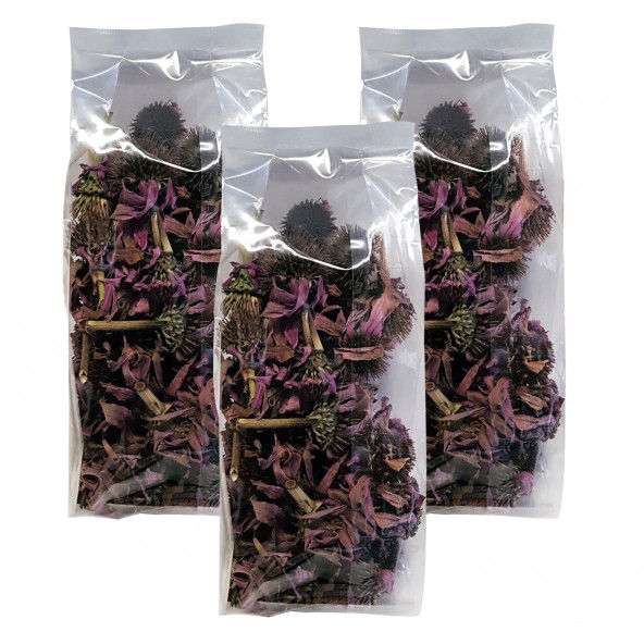 Ekinezya Bitkisi 3 Paket Ekinazeya Kurusu Kirpi Otu Ekinezya Çayı ürün görseli 1