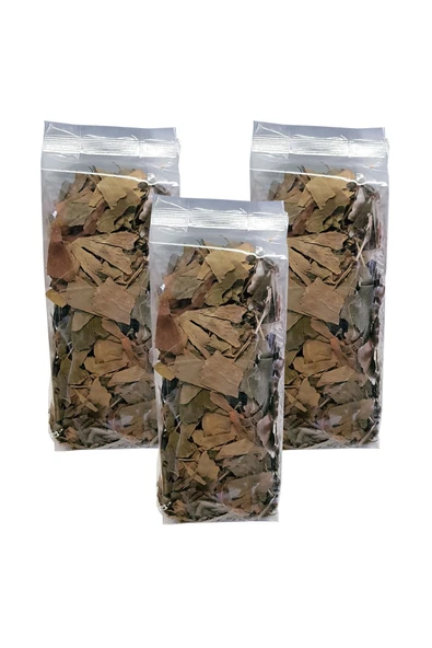 Ginkgo Biloba Bitkisi 3 Paket Ginko Biloba Çayı Kurutulmuş Ginkgo Biloba Bitki Ginkgo Biloba Yaprağı ürün görseli 1