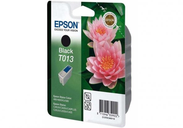 Epson T013-C13T01340120 Siyah Kartuş ürün görseli 1