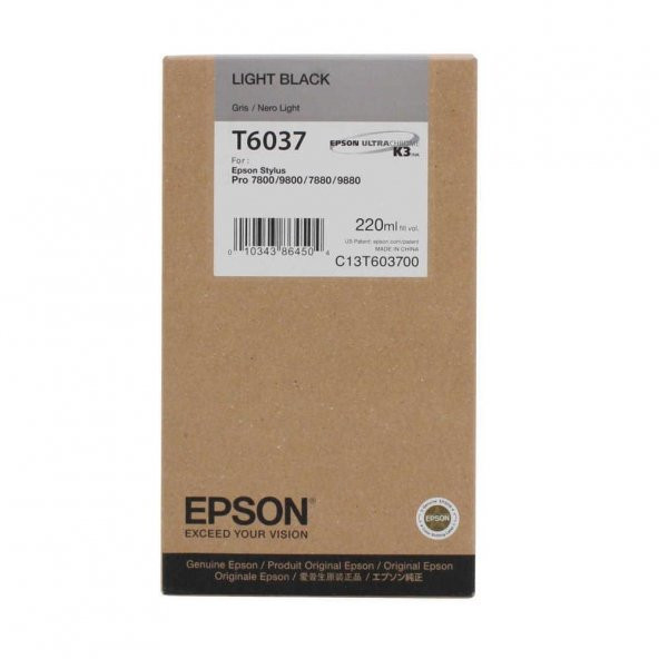 Epson T6037-C13T603700 Açık Siyah Kartuş ürün görseli 1