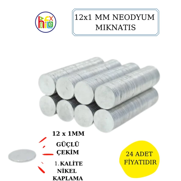NEODYUM MIKNATIS NİKEL KAPLAMA 12MM X1 MM  24 ADET FİYATIDIR ürün görseli 1