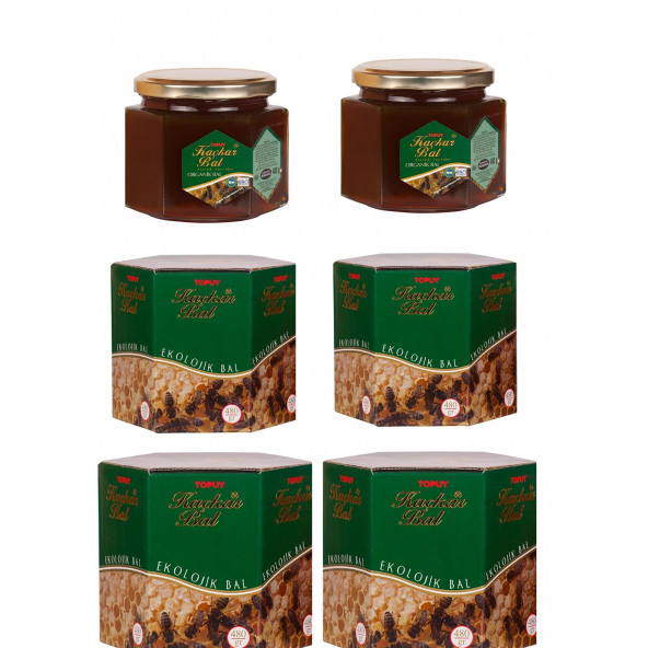 Organic kaçkar Orman Balı 480 gr x 6 pieces ürün görseli 1
