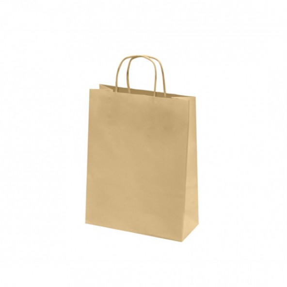 Kağıt Çanta Hediye Ve Alışveriş Çantası 25li (25x31x12cm) ürün görseli 1