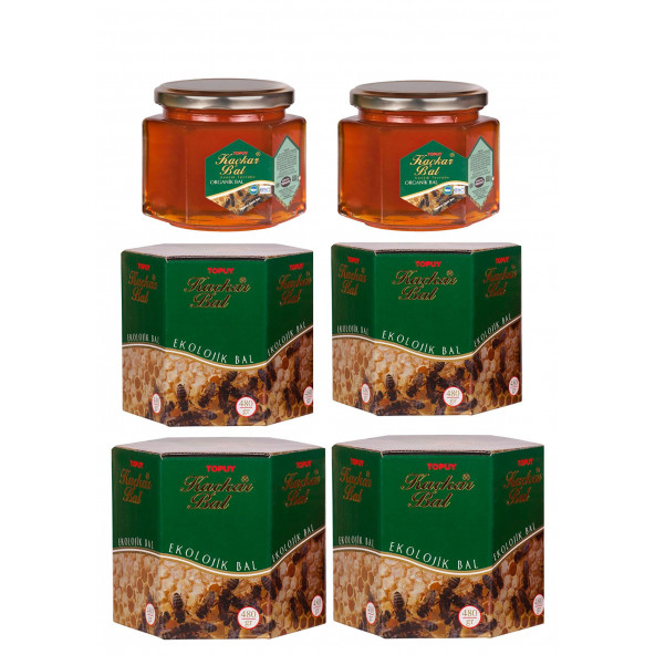 Organıc kackar Yayla Balı 480 gr x 6 box ürün görseli 1