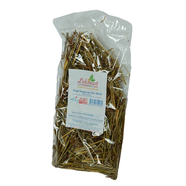 Kayışkıran Otu Doğal 100 Gr Paket - Resim 4