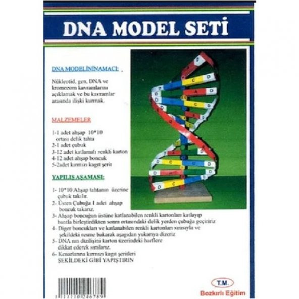 BOKIRLI DNA MODEL SETİ ürün görseli 1