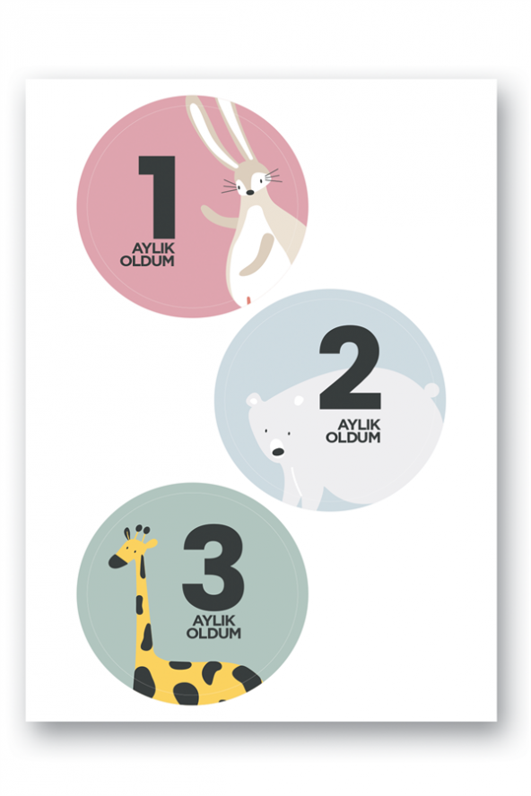 Lecolor Bebek Sticker Seti - Resim 2