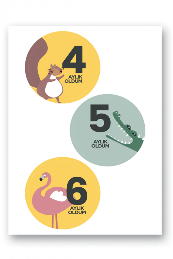 Lecolor Bebek Sticker Seti - Resim 3
