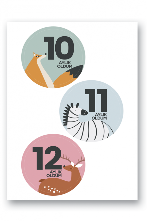 Lecolor Bebek Sticker Seti - Resim 4