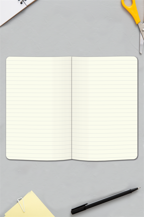 Tarihsiz Klasik Defter Rec Note 13x21 Çizgili Yeşil - Resim 6