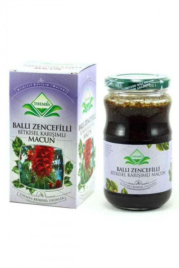 Themra Ballı Zencefilli Macun 420 gr ürün görseli 1