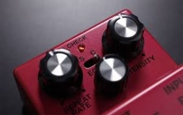 Boss DM-2W Waza Craft Delay Pedal - Resim 2