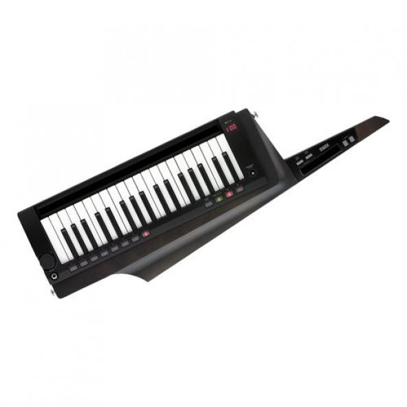Korg RK-100S 2-BK ürün görseli 1