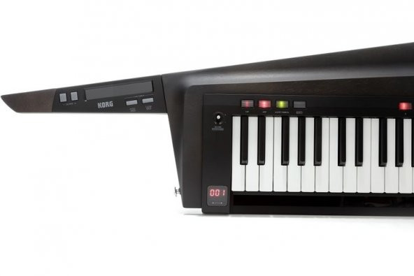 Korg RK-100S 2-BK - Resim 2