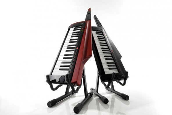 Korg RK-100S 2-BK - Resim 5