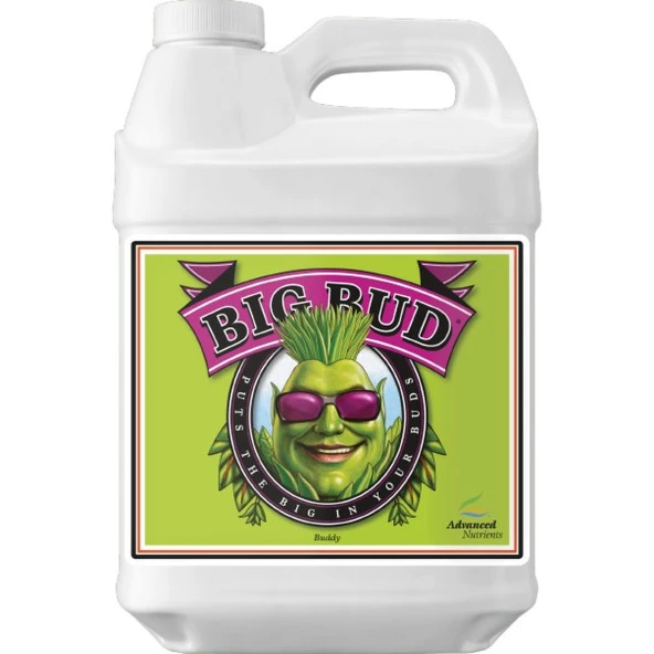 Advanced Nutrients Big Bud 250 ml ürün görseli 1