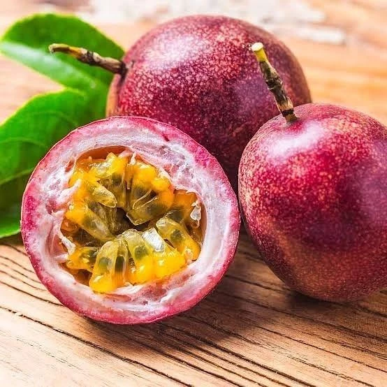 İri Taneli Mor Pasiflora Edulis (Alp1071), Saksıda, (Meyve Vericek Yaşta) ürün görseli 1