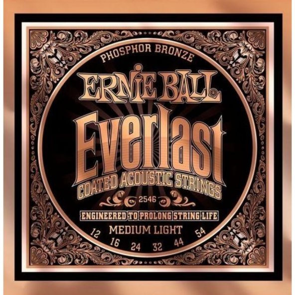 Ernie Ball P02546 Everlast Akustik Gitar Teli (MediumLight) ürün görseli 1
