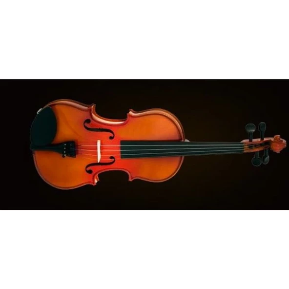 Valencia Va400 Viyola Kutulu 15.5" 39,37cm ürün görseli 1