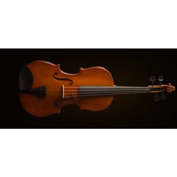 Valencia Va16038 Viyola Kutulu 15" 38cm ürün görseli 1