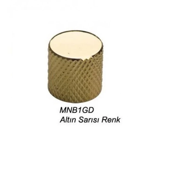 Valencia Mnb1gd Gitar Pot Düğme Başlığı Kubbe Metal Gold ürün görseli 1